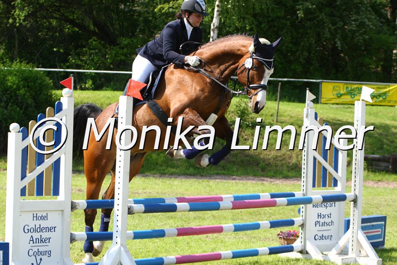 005M5590_Livingston Soleil dÒr_Stil E.JPG